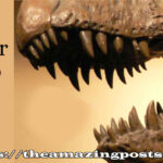 Nigersaurus – The Jaw-Dropping Dinosaur with 500 Teeth