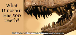 Nigersaurus – The Jaw-Dropping Dinosaur with 500 Teeth